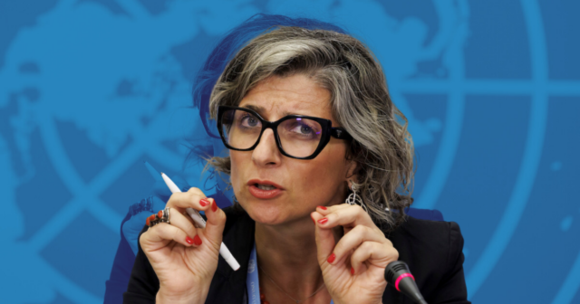 Il comodo equilibrismo del Partito Democratico sulla pelle di Francesca Albanese