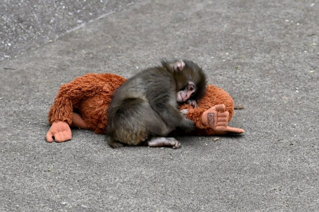 Sentirsi amati è una necessità biologica