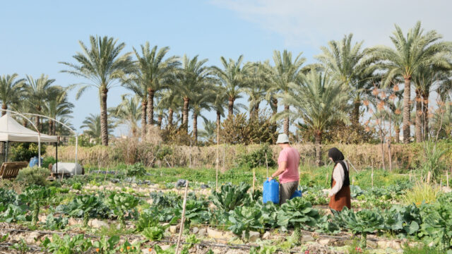 Come Israele sta devastando l’agricoltura nel sud del Libano